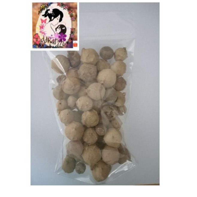 

100gr Buah Manjakani majakani/majaan/oak galls Untuk Masalah Kewanitaan