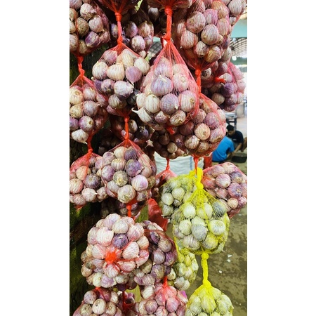 

Bawang tunggal