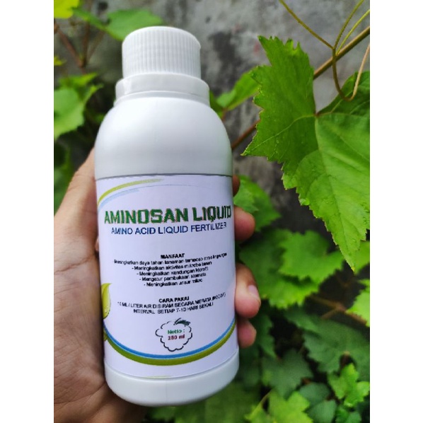 Aminosan cair, Aminosan liquid, Aminosan Pupuk anggur