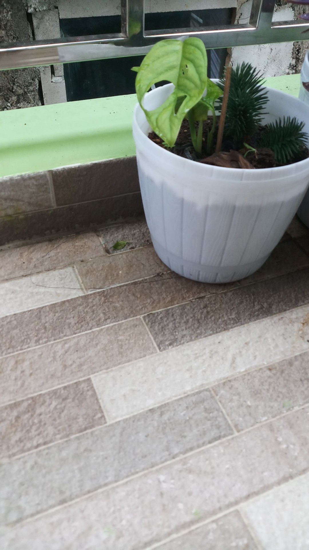 Teko Bunyi / Siul Maspion National 20 Cm