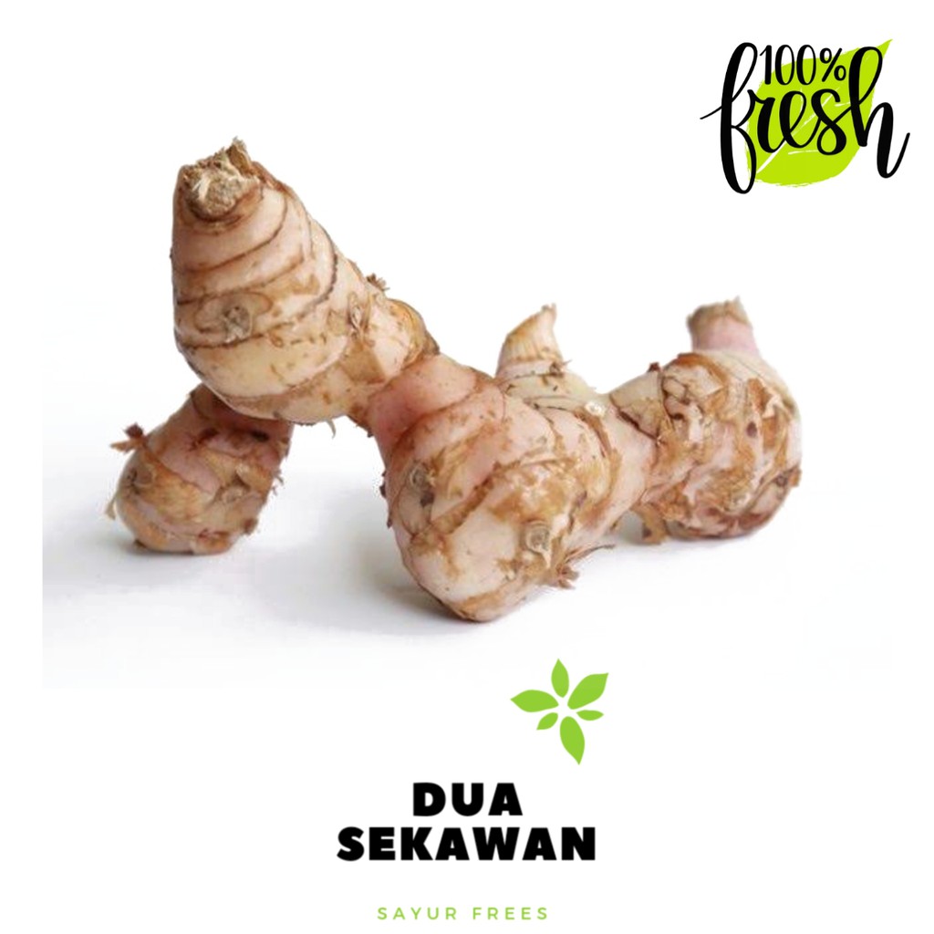 

Dua Sekawan | lengkuas / laos 250 gr