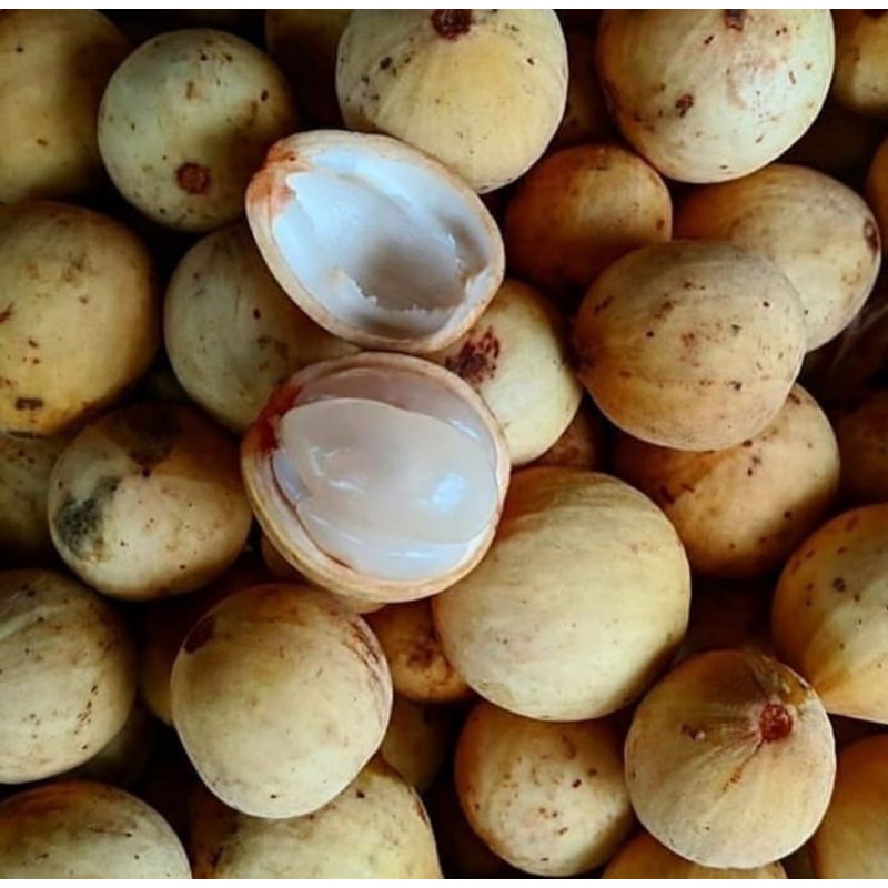 

Buah Duku Palembang / Kg