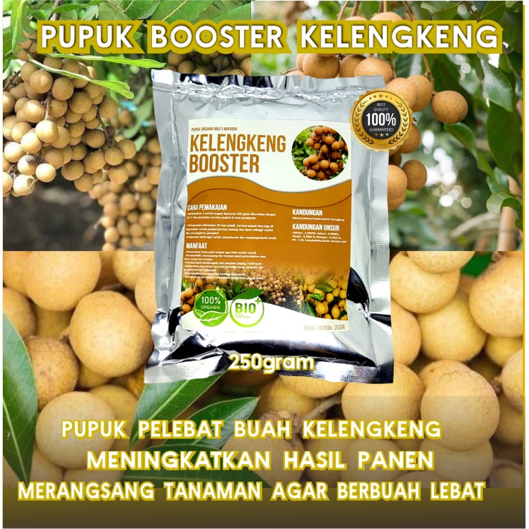 Pupuk Organik Pelebat Kelengkeng Booster Perangsang Buah , Pupuk Pelebat Buah Kelengkeng Lengkeng