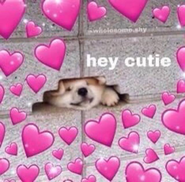 Serbet Kotak / Kain Lap / Serbet Dapur / Kain Serbet - Putih