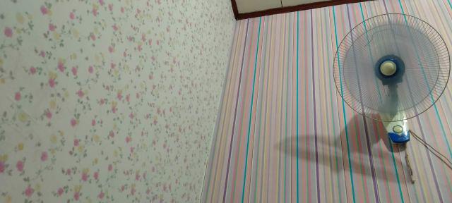 Grosir Murah -wallpaper Sticker Dinding Putih Bunga Mawar Pink Krem Berdaun 10 Meter