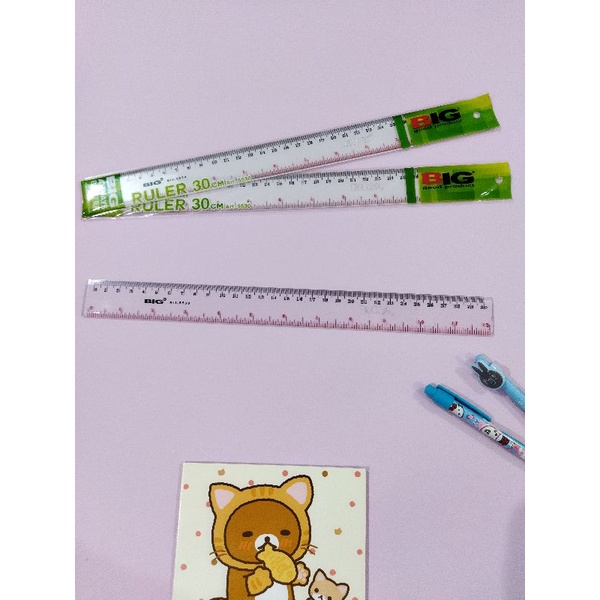 

PENGGARIS BIG 30CM ART. 5530