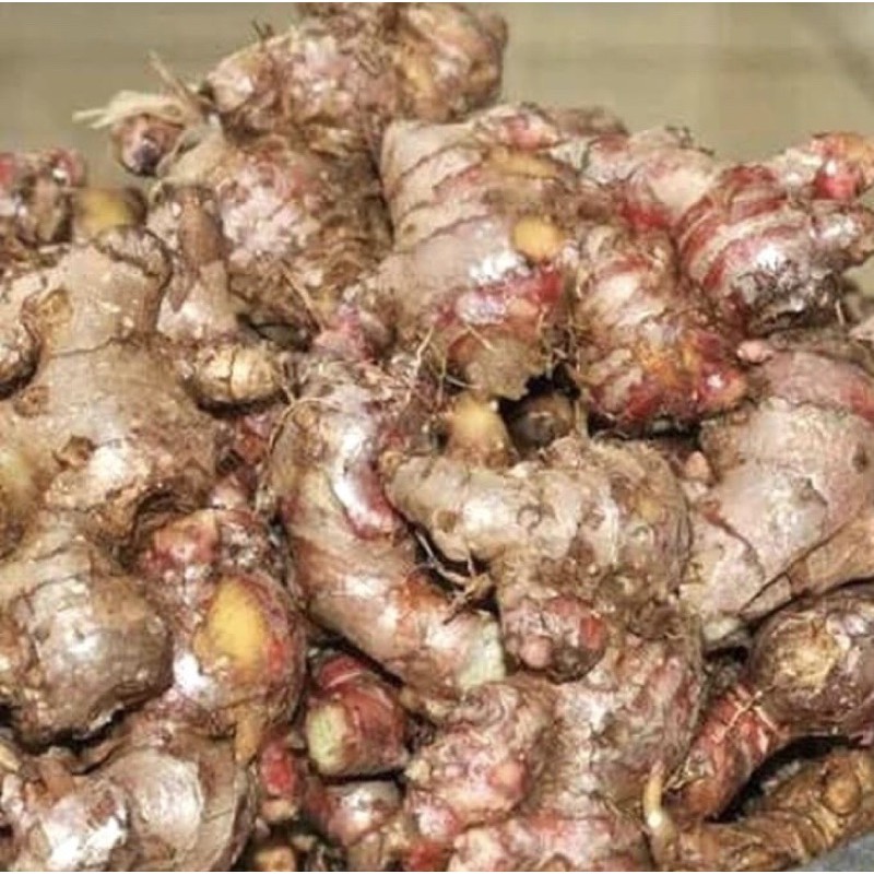 

Jahe Merah Super Pilihan Nass Bumbu Rempah
