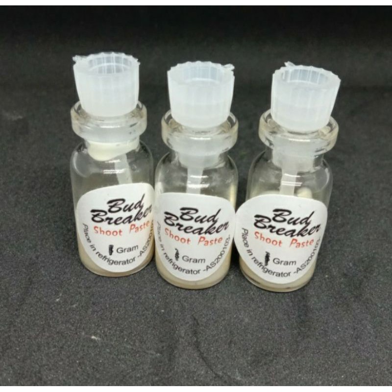 Bud Breaker salep penumbuh tunas anggrek repack 1gram
