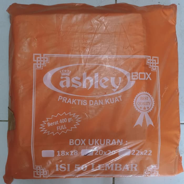 BOX DUS KOTAK MAKANAN NASI POLOS TEBAL 20 X 20