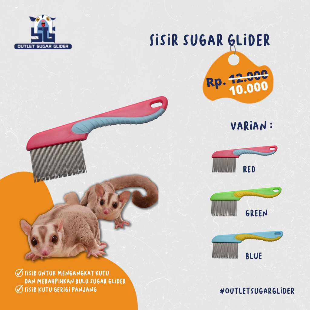 SISIR HEWAN SUGAR GLIDER