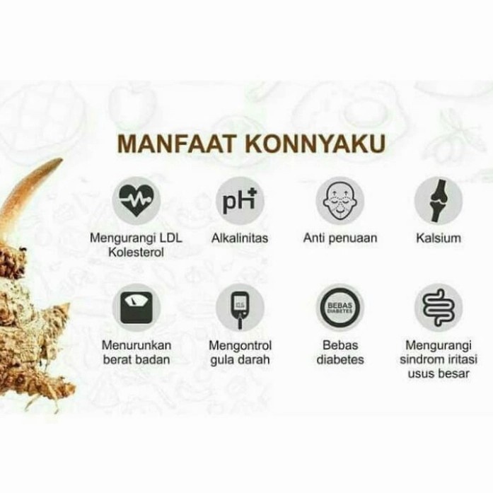 

HG Beras Shirataki 1kg Mr Ishii Beras Analog - Konnyaku Grain Dry Shirataki Cocok Untuk Diet Keto