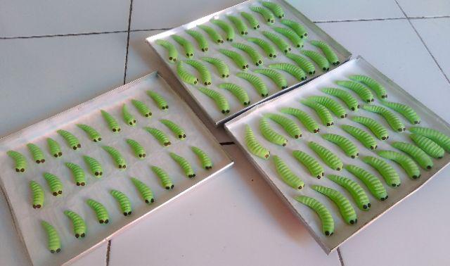 12 Pcs Toples Nuai Ukuran 250 Gram