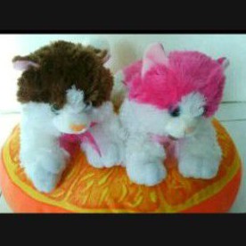 BONEKA KUCING BULU