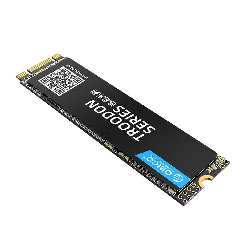 Orico N300 256GB M.2 2280 / SSD 256GB