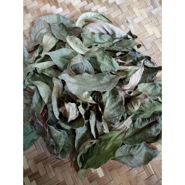 

Daun Salam Kering / Daun Salam Kering 20 gram