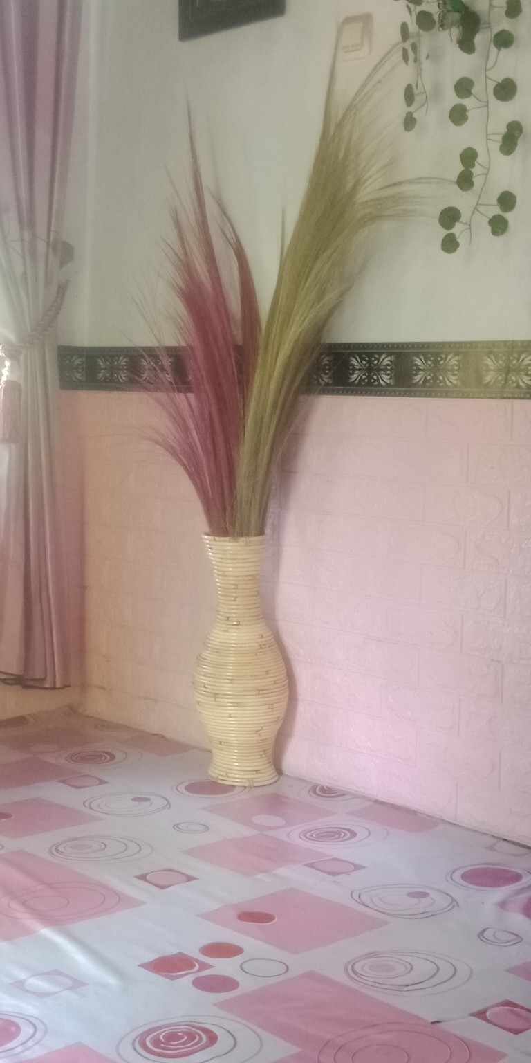 Daun Palm Kering Ukuran 30cm | Dried Palm Leaves | Dried Flowers