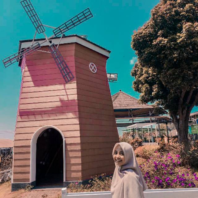 erni.dwynt