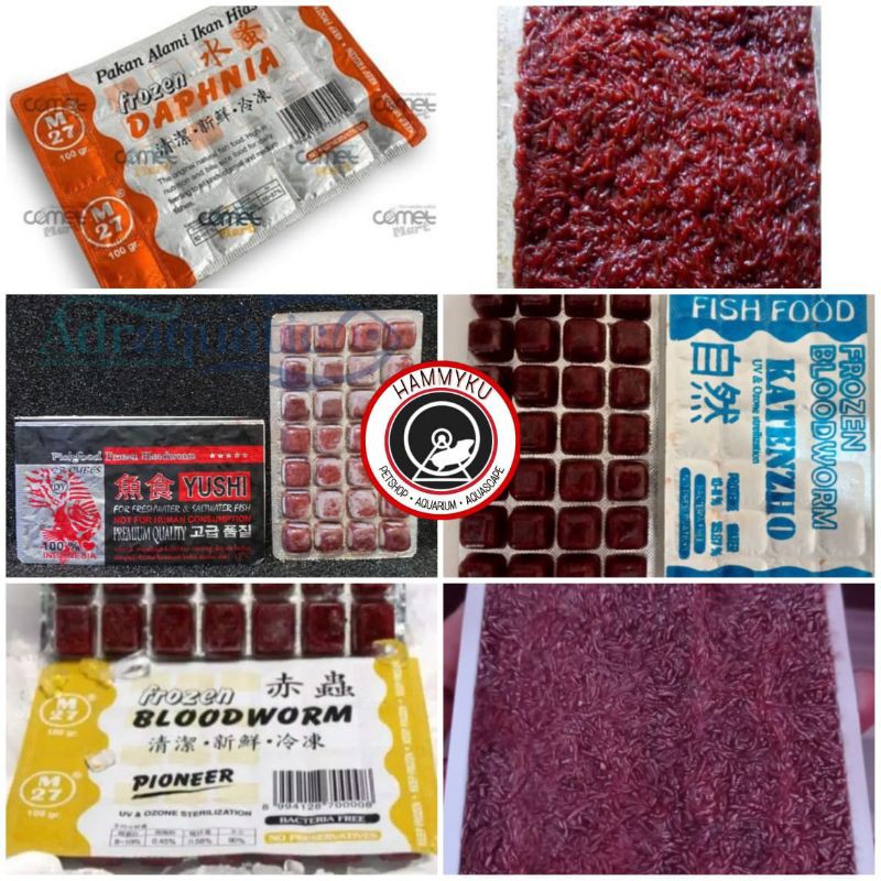 CACING BEKU / FROZEN BLOODWORM - MAKANAN IKAN