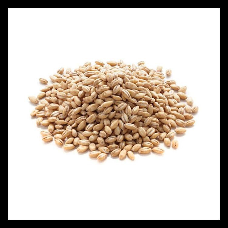 

Barley - Biji Jali - Jali 1000 G Bermutu