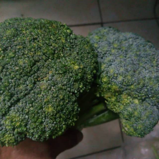 

Brokoli