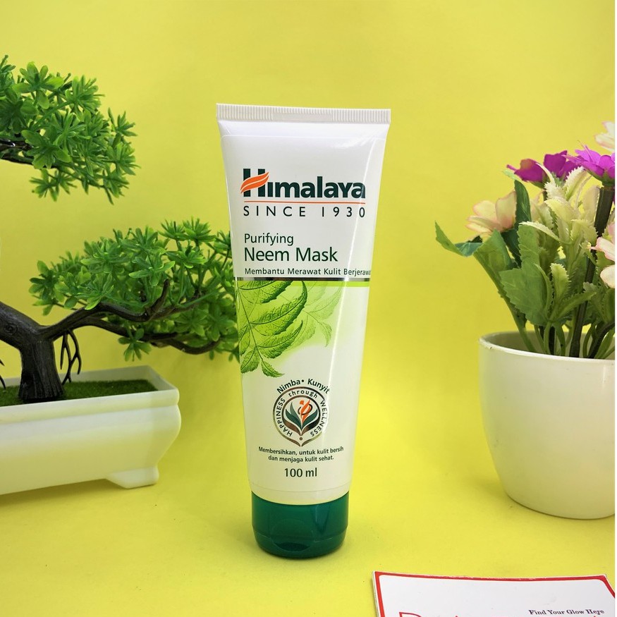 Himalaya Purifying Neem Facial Wash 100ml