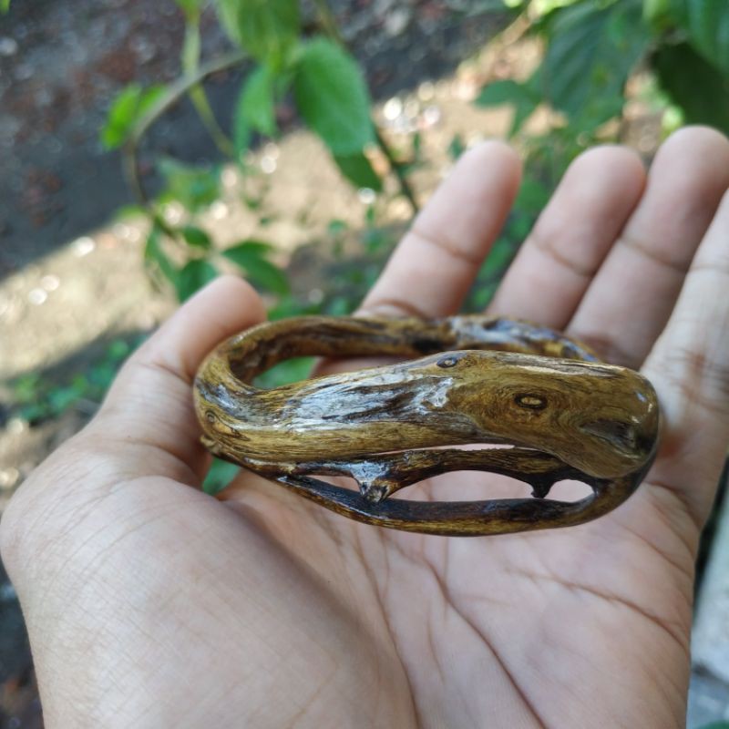 Gelang akar Bahar brahma combong