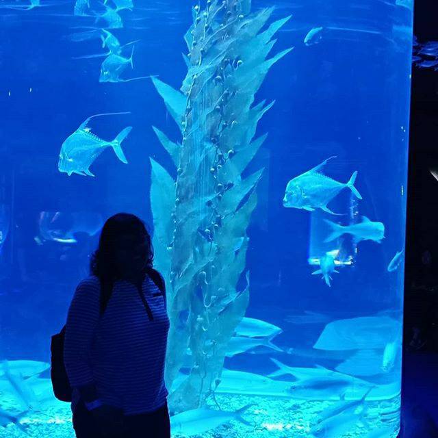 enggelinaayuningtyas