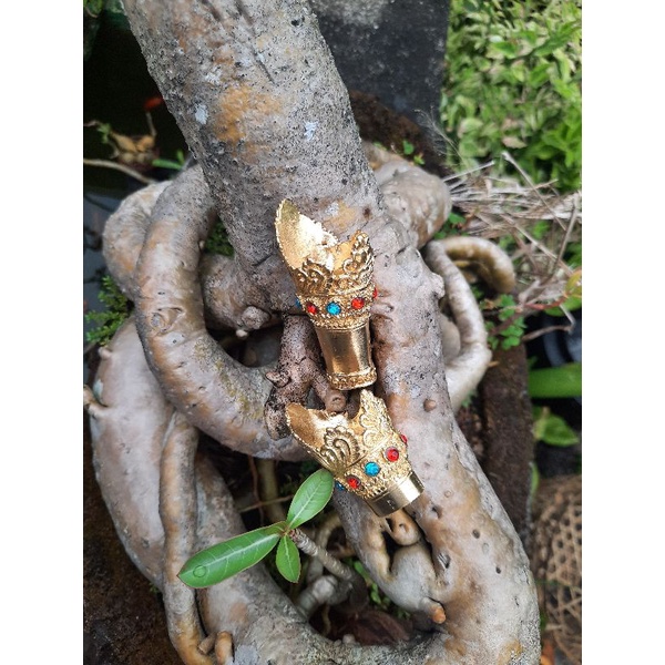 BUNGKUNG BLAKAS/BUNGKUNG TEMUTIK/BUNGKUNG PISAU ASLI BALI