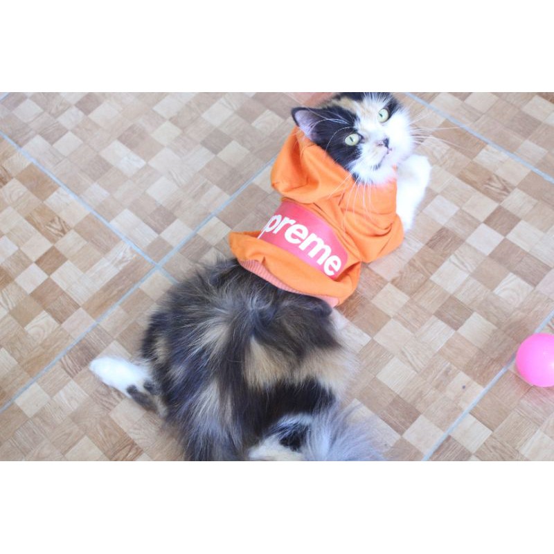 Kaos hoodie supreme kode #001 lucu untuk kucing &amp; anjing / baju jersey bola size S-XL