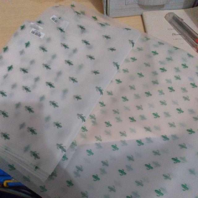 Cactus Zipper Storage Bag / Kantong Plastik Putih Transparan Serba Guna Motif Kaktus