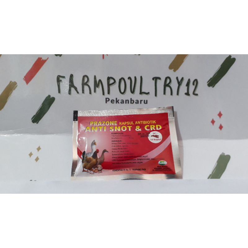 Obat Ayam Anti Snot Crd Kapsul obat ayam snot coriza ngorok, obat snot burung bebek angsa