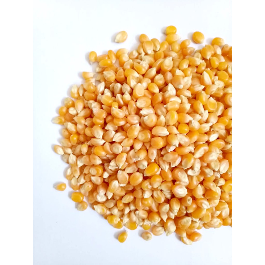 

Jagung popcorn organic 1kg