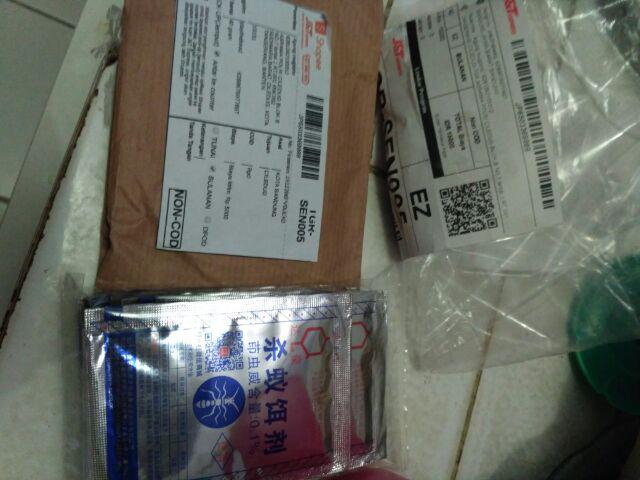 Racun Semut Mie Ji Qing Pembasmi Semut Di Rumah, Taman, Tanaman, Kebun