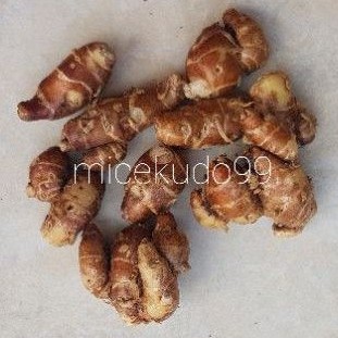 

AROMATIC SAND GINGER 250 GRAM / KENCUR CUTCHERRY KAEMPFERIA GALANGA