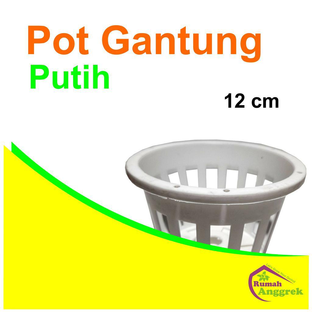 Pot Gantung Anggrek 12 cm Putih tanaman hias remaja dewasa dendrobium bulan cattleya bulat hitam pla
