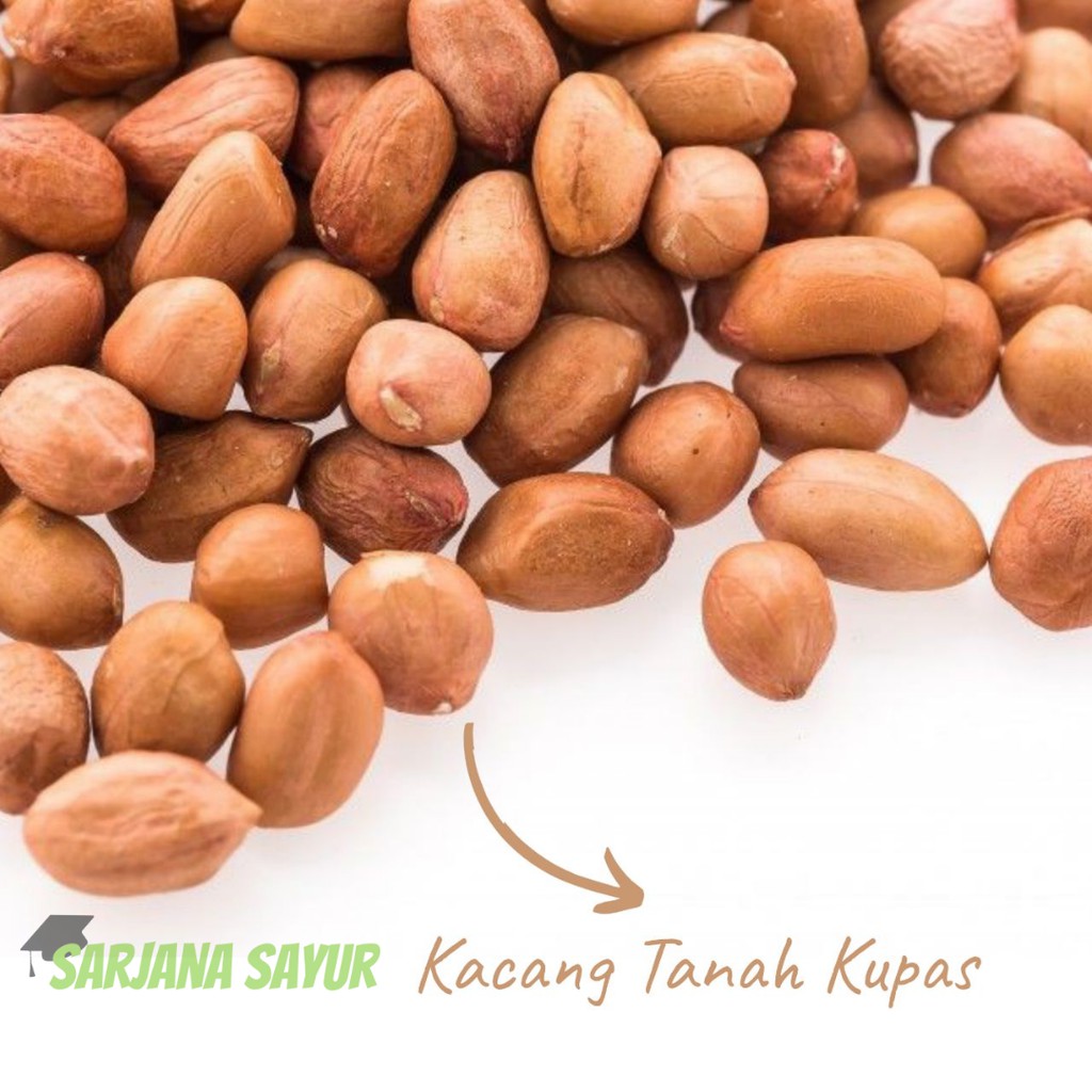 

Kacang Tanah Kupas 500gr / Sarjana Sayur