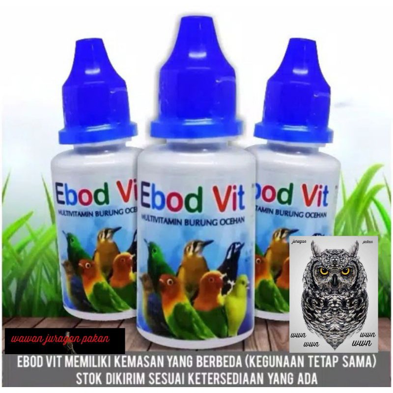 Ebod vit, vitamin burung, obat gacor