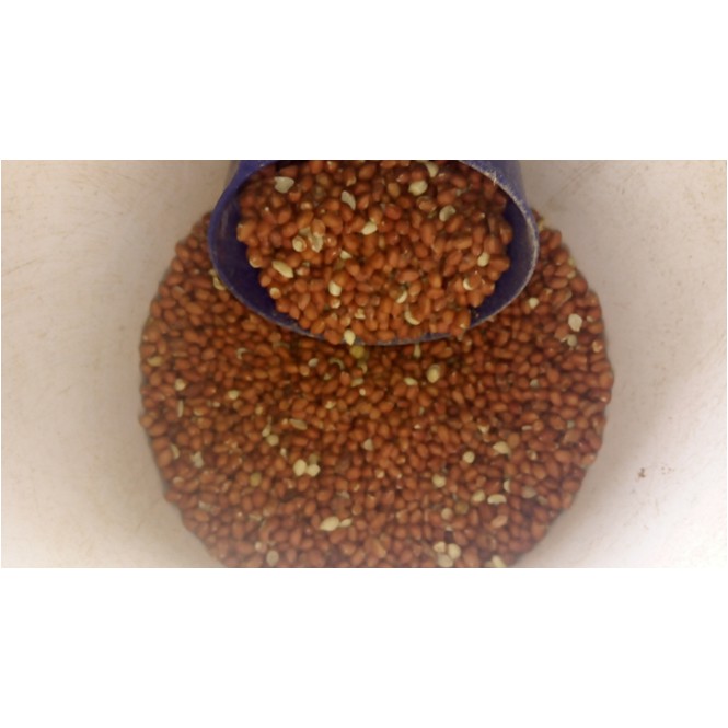 

Kacang Tanah Lokal Curah ( @ 1 Kg. )