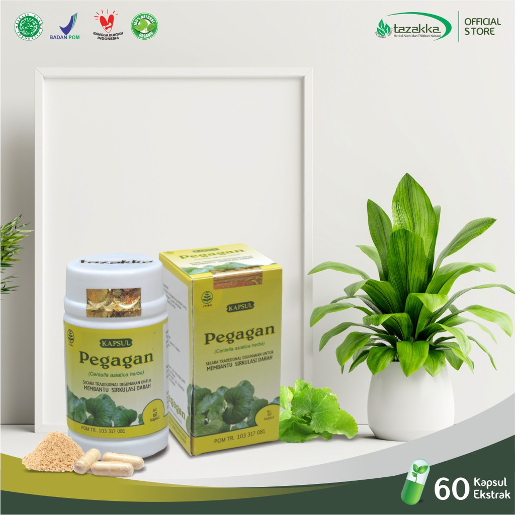 Kapsul Pegagan | Obat sakit Kepala Herbal | Kapsul Herbal Tazakka HALAL BPOM | Isi 60 Kapsul