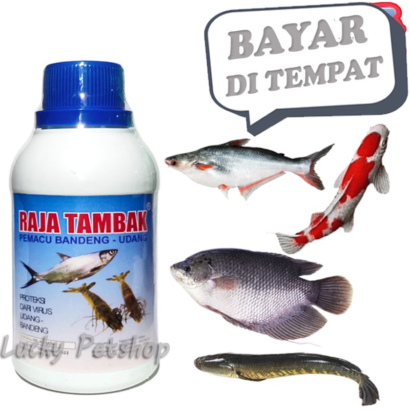 VITAMIN GEMUK IKAN BANDENG UDANG RAJA TAMBAK