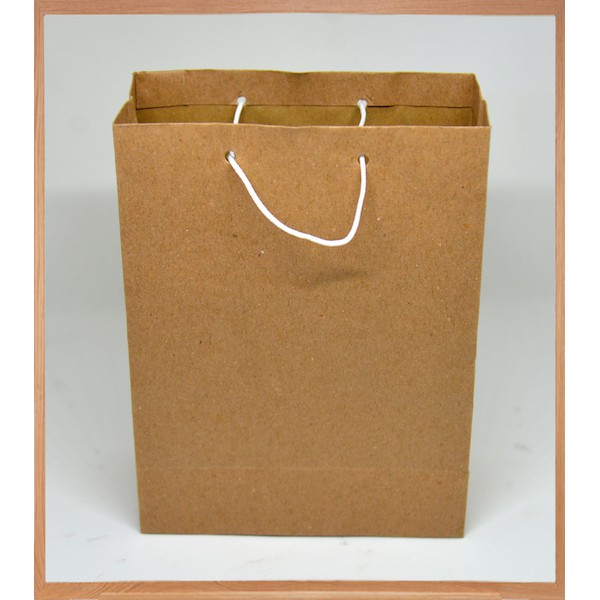 Jual Paper Bag Polos Sedang Shopee Indonesia