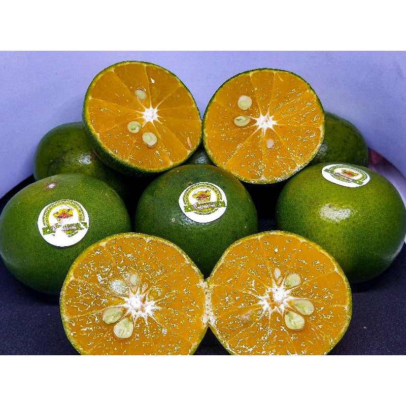 

Buah jeruk peras pontianak orange