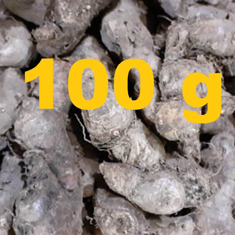 

100 gram Jahe Merah Segar