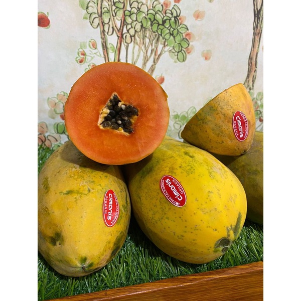 

Buah pepaya california|nuri fruits|buah pepaya|buah segar bandung|buah bandung