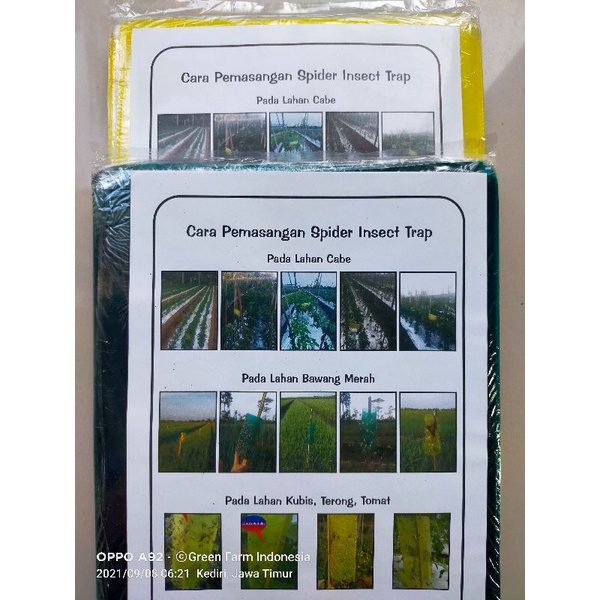 Paket Hemat Spider Insect Trap 200 lembar kuning Hijau Perangkap serangga hama Lalat Pada Tanaman Harga Hemat