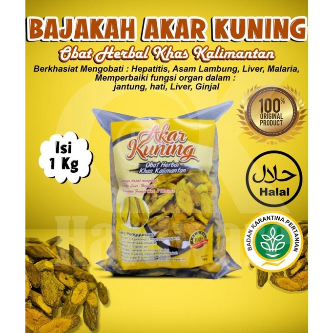 Obat Herbal Kayu Bajakah Akar Kuning Super Original Asli Kalimantan