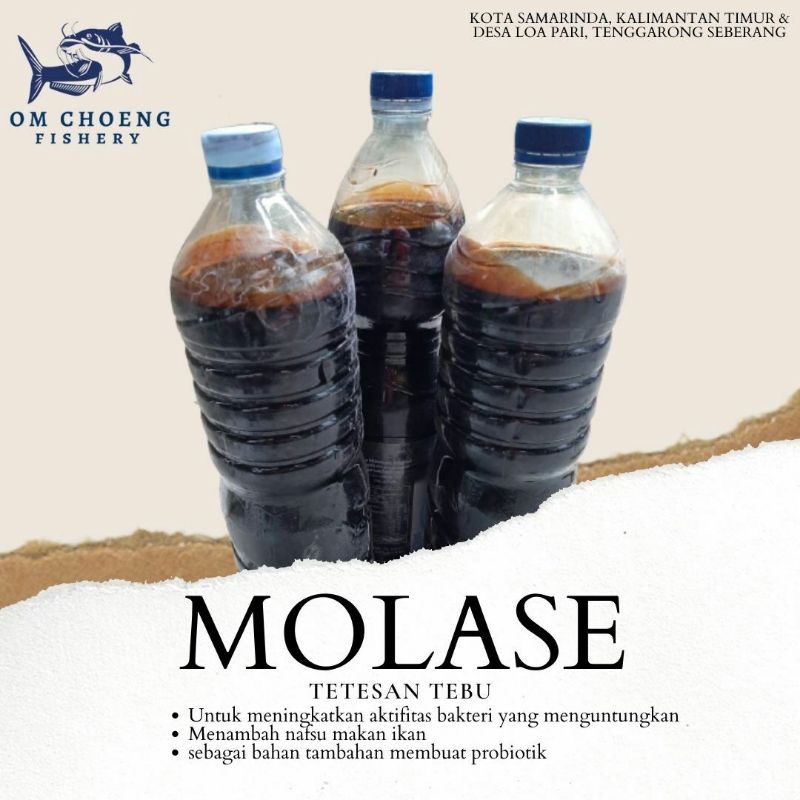 MOLASE / TETES TEBU 1.3 LITER