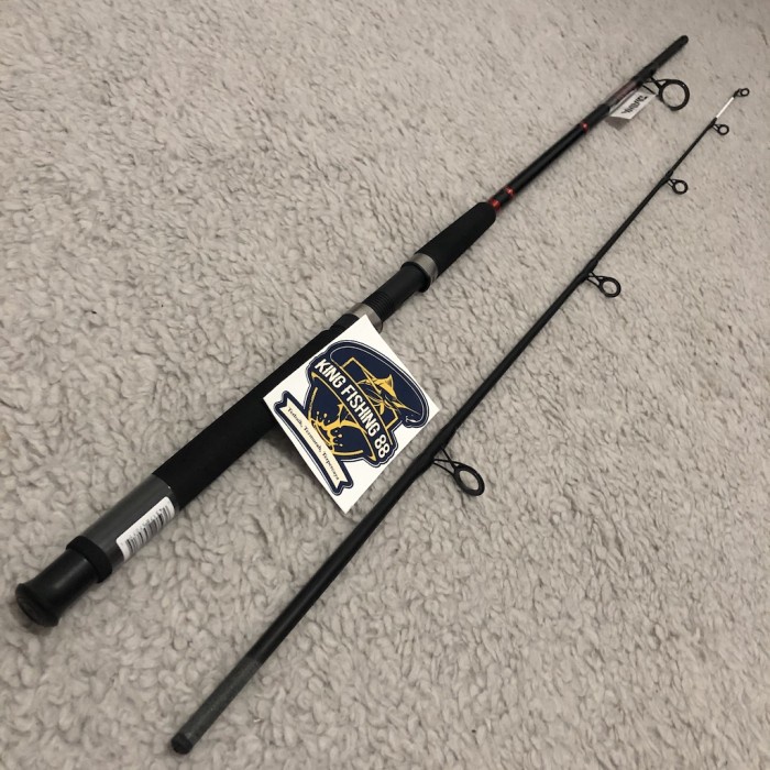 Joran Daiwa Jupiter Power Tip 210