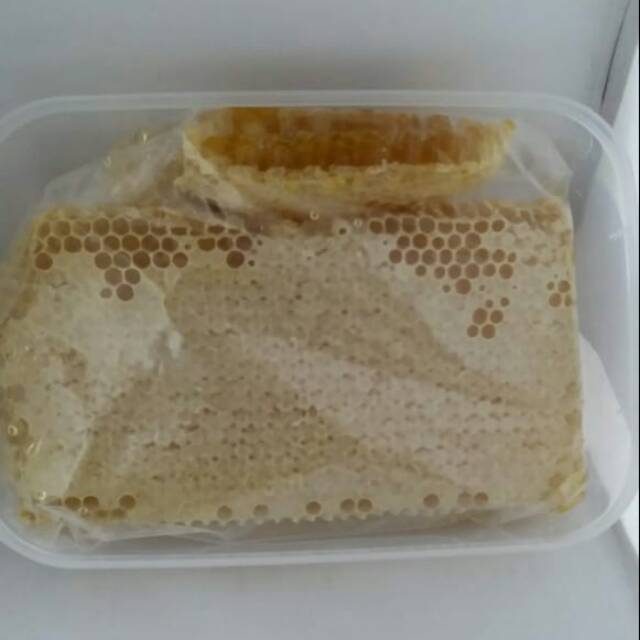 

Madu sarang murni