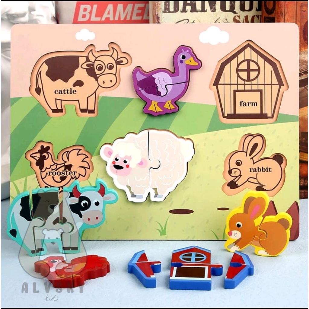 MAINAN EDUKASI ANAK PUZZLE KNOB KAYU / PUZZLE KAYU 3D CHUNKY PUZZLE
